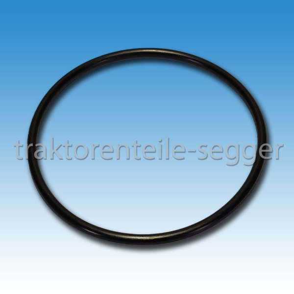 Ringdichtung für Hydraulikfiltergehäuse Holder AG 35 A 30 A 45 A 55 P 60